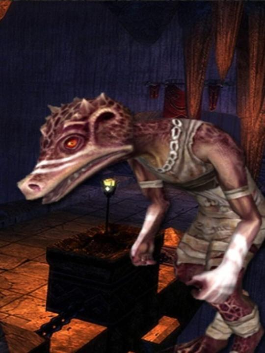 Dungeons & Dragons Online: The Seal of Shan-to-Kor