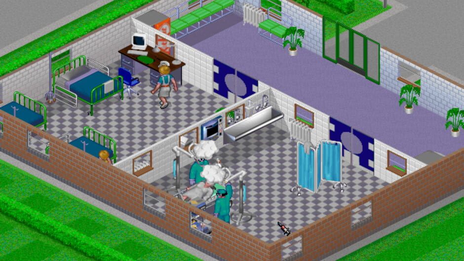 theme hospital online games